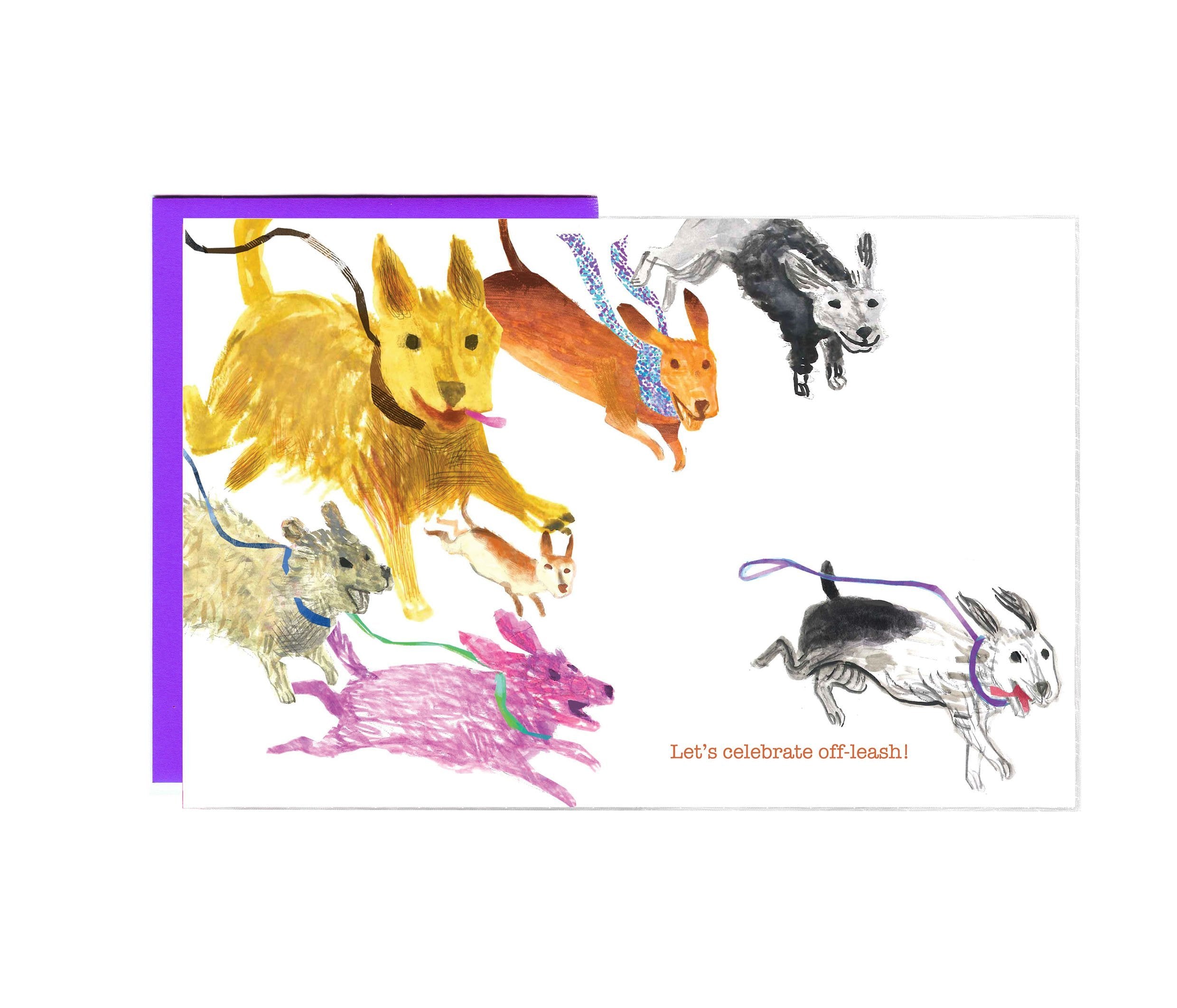 A set of 8 whimsical dog-themed birthday cards by John Littleboy, neatly packaged in a tidy box with matching envelopes.