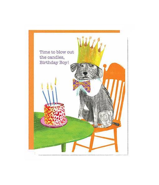 A set of 8 whimsical dog-themed birthday cards by John Littleboy, neatly packaged in a tidy box with matching envelopes.