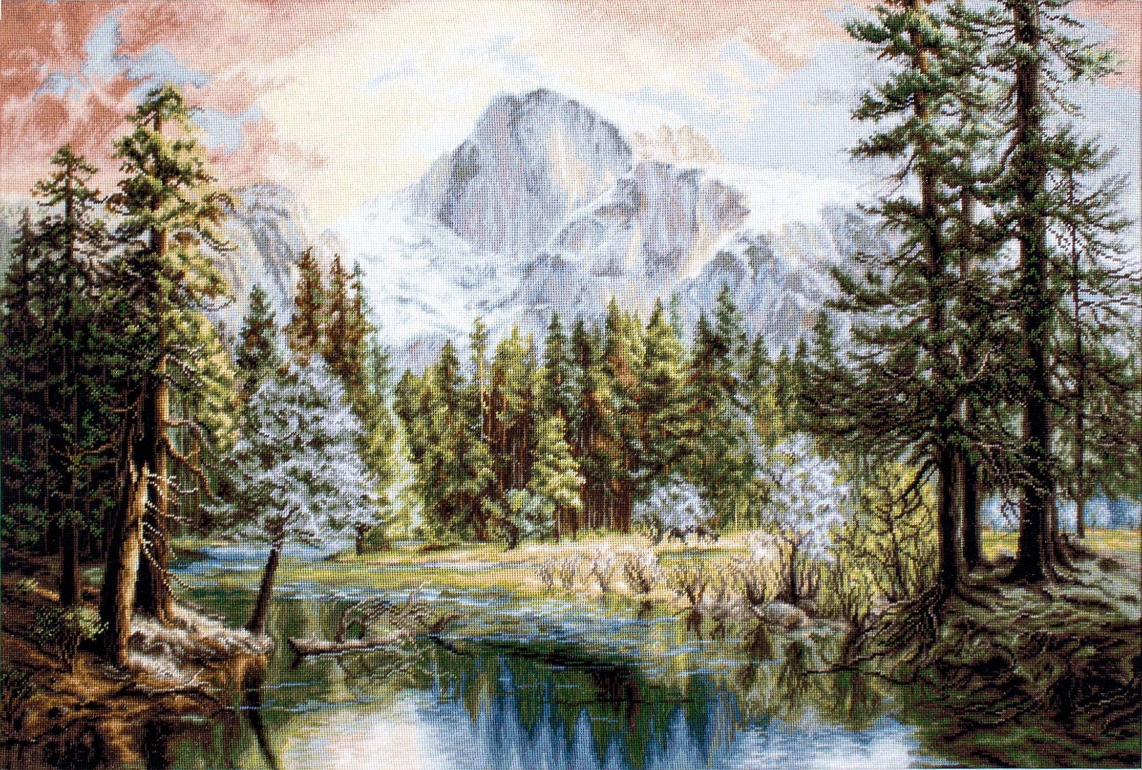 Nature and Wonderland B604L Counted Cross-Stitch Kit featuring Aida canvas, 66 Anchor colors, and needle for crafting.