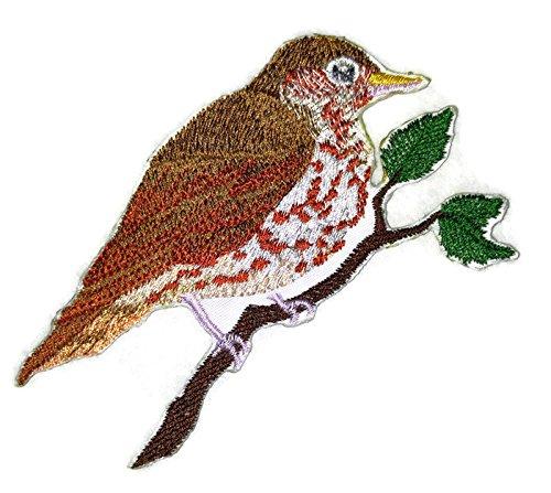 Single Wood Thrush Bird embroidery patch showcasing intricate design and vibrant colors on a cotton base.