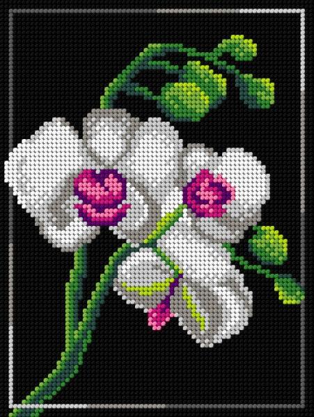 Needlepoint canvas for halfstitch without yarn Orchid 3010F, featuring a vibrant printed design on high-quality Zweigart canvas.