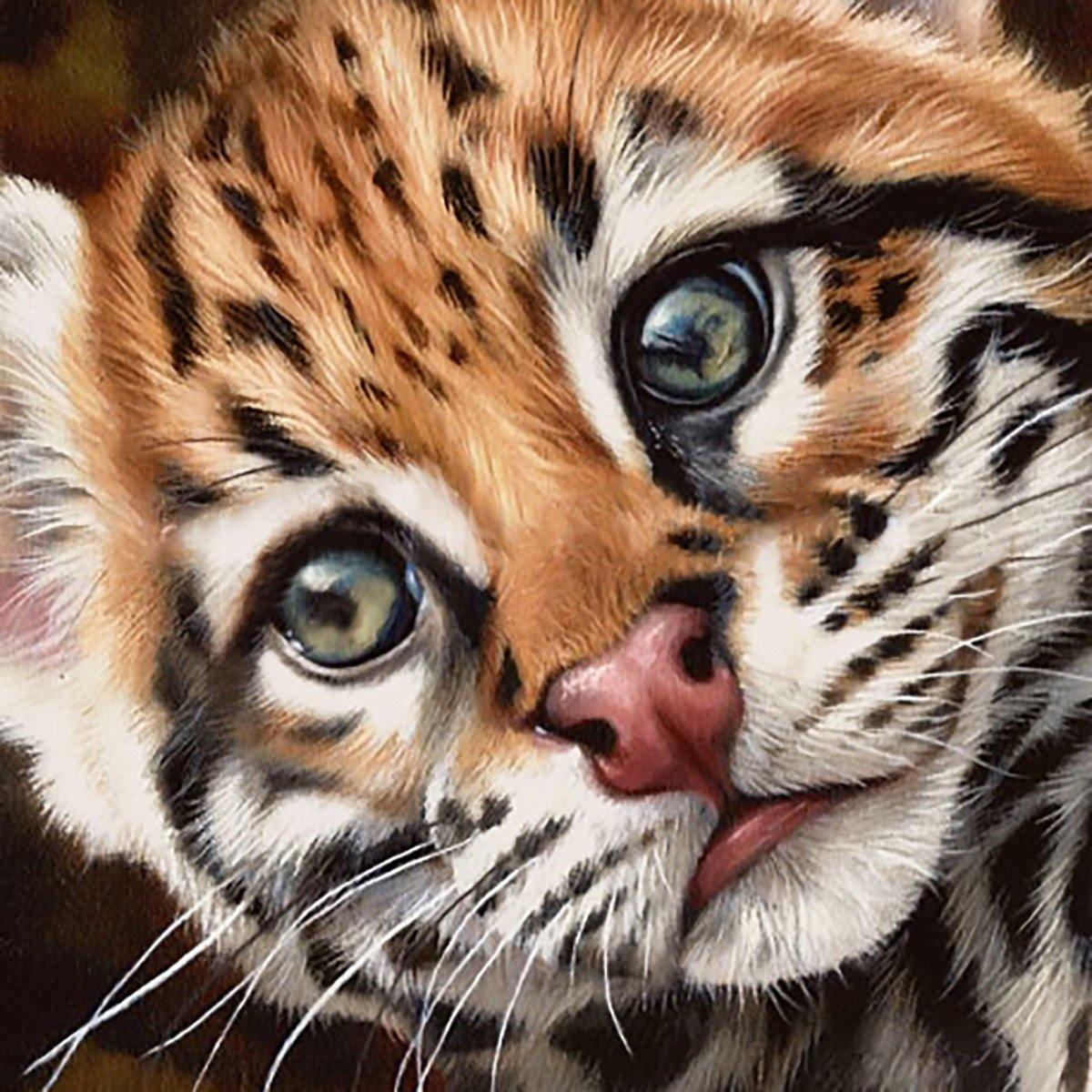 Ocelot Kitten Diamond Painting Kit featuring a 14.9x14.9 inch self-adhesive canvas with colorful square acrylic diamonds and crafting tools.