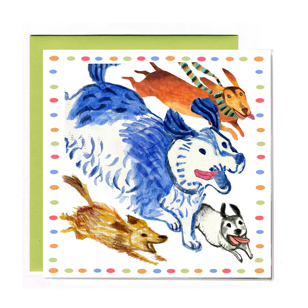 Off Leash Set of 6 Square Cards featuring playful dog designs in a boxed set with matching envelopes.