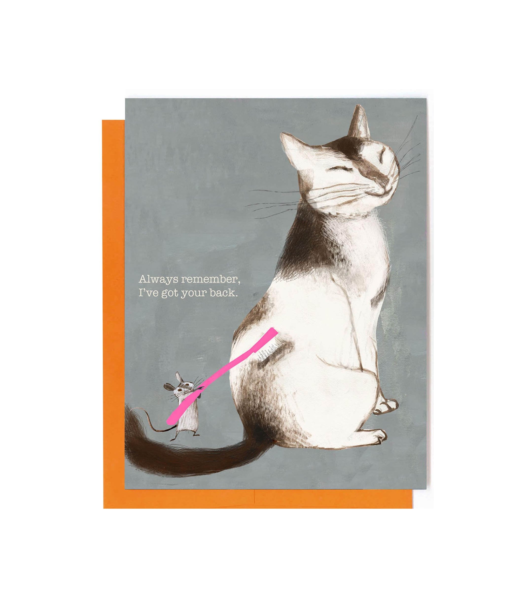 Set of 8 whimsical cat-themed greeting cards by John Littleboy, featuring unique designs and matching envelopes in a tidy box.