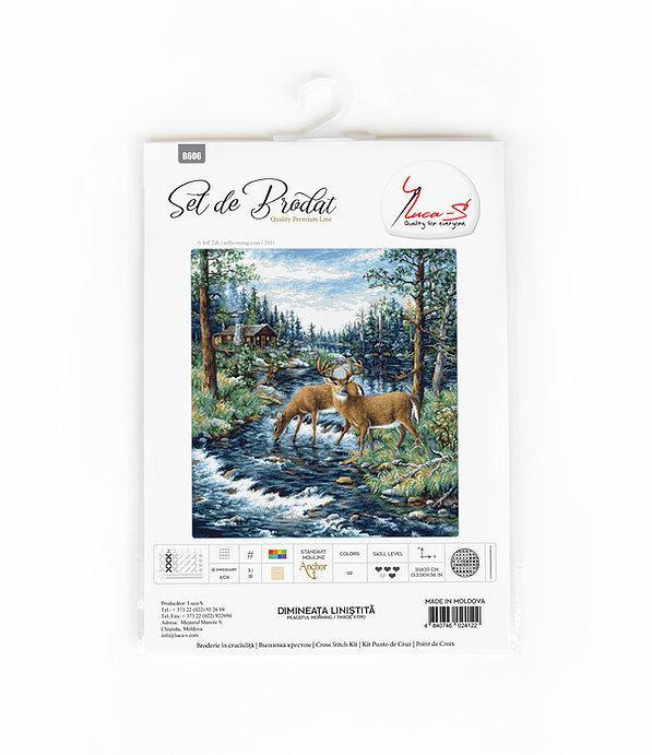 Peaceful Morning B606L Counted Cross-Stitch Kit featuring Aida canvas, vibrant threads, and needle.