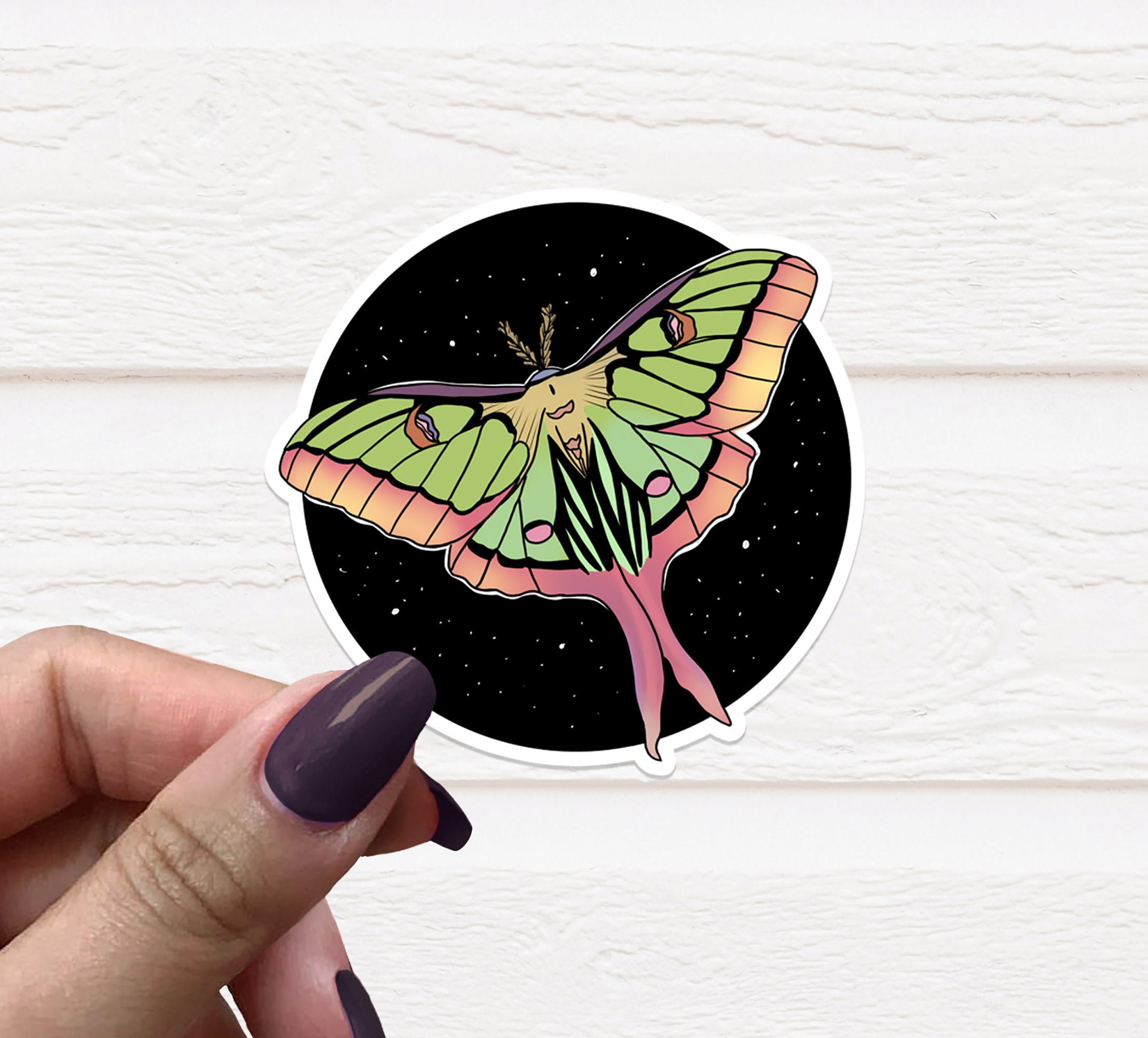 A vibrant Pink and Green Moth Vinyl Sticker on a white background, showcasing intricate details and colors.