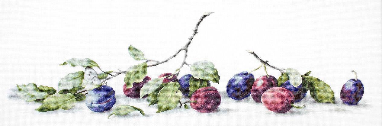 Plums B2257L Counted Cross-Stitch Kit featuring Aida canvas, Anchor threads, and needle, designed by Elena Bazanova.