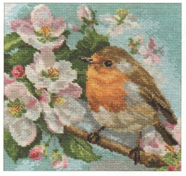 Robin 1-20 Cross-stitch kit featuring white aida fabric, 32 colorful threads, and an embroidery needle.