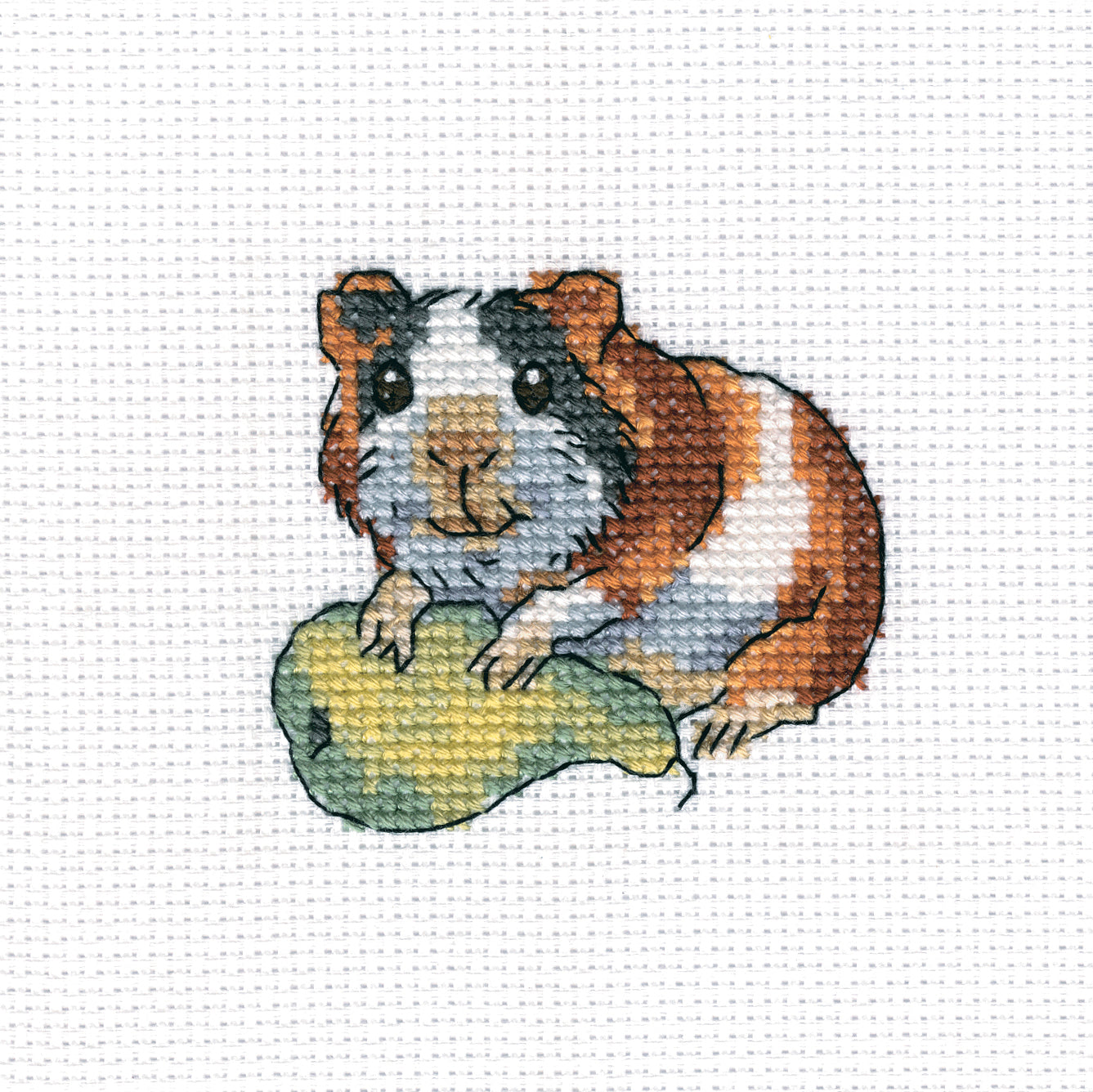 Rodent Bonn H260 Counted Cross Stitch Kit featuring Aida canvas, colorful threads, and stitching accessories.