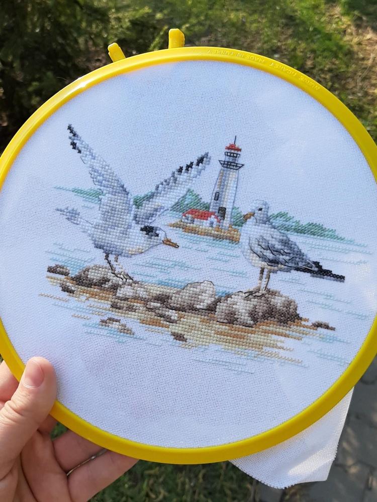 Seagulls 3-30 Cross-stitch kit featuring white aida fabric, colorful threads, and an embroidery needle.