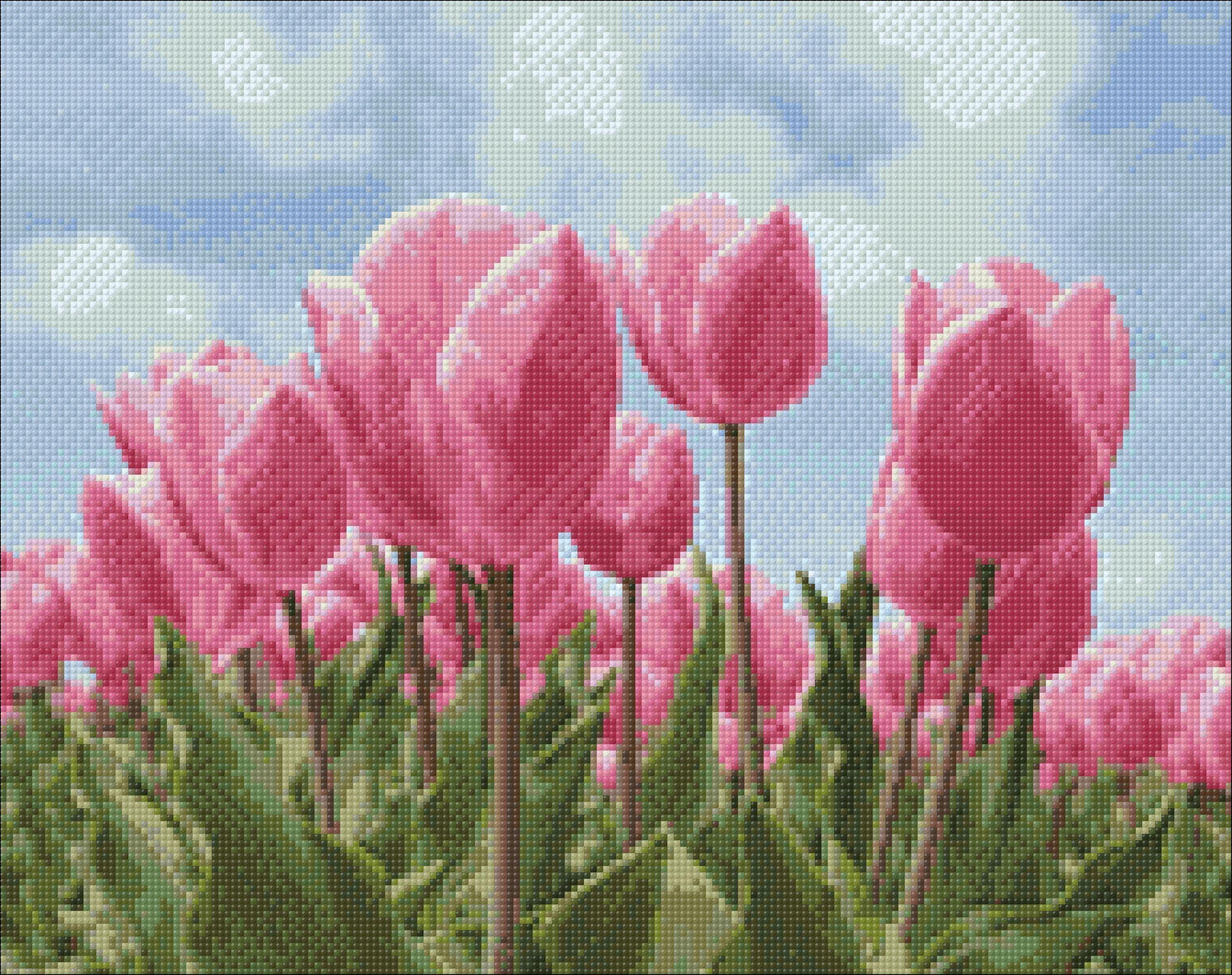 Sky and Tulips WD2301 Diamond Painting Kit featuring a colorful design with square acrylic diamonds and essential crafting tools.