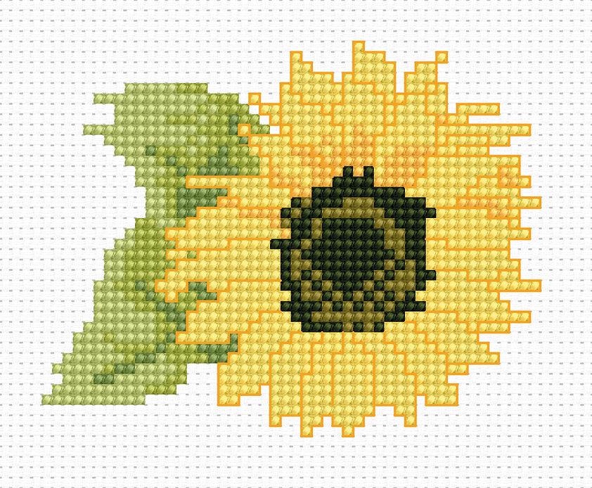 Sunflower B031L Counted Cross-Stitch Kit featuring Aida canvas, Anchor threads, and needle.