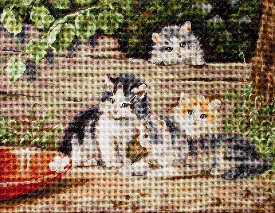 The Cats B556L Counted Cross-Stitch Kit featuring Aida canvas, colorful threads, and a needle for crafting.