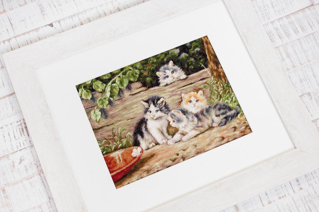 The Cats B556L Counted Cross-Stitch Kit featuring Aida canvas, colorful threads, and a needle for crafting.