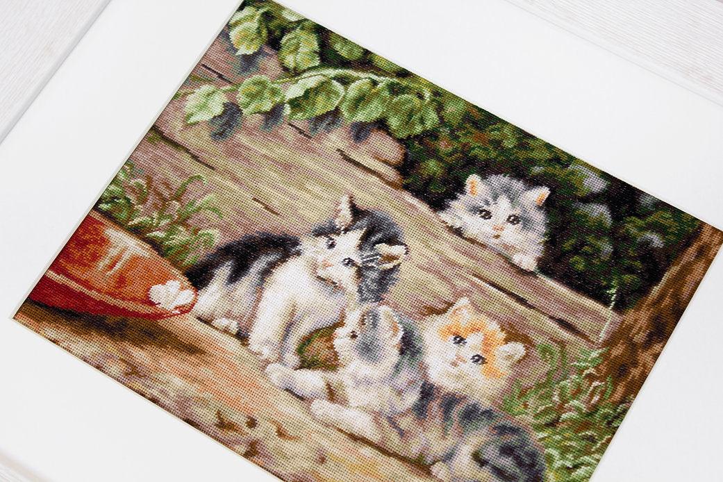 The Cats B556L Counted Cross-Stitch Kit featuring Aida canvas, colorful threads, and a needle for crafting.