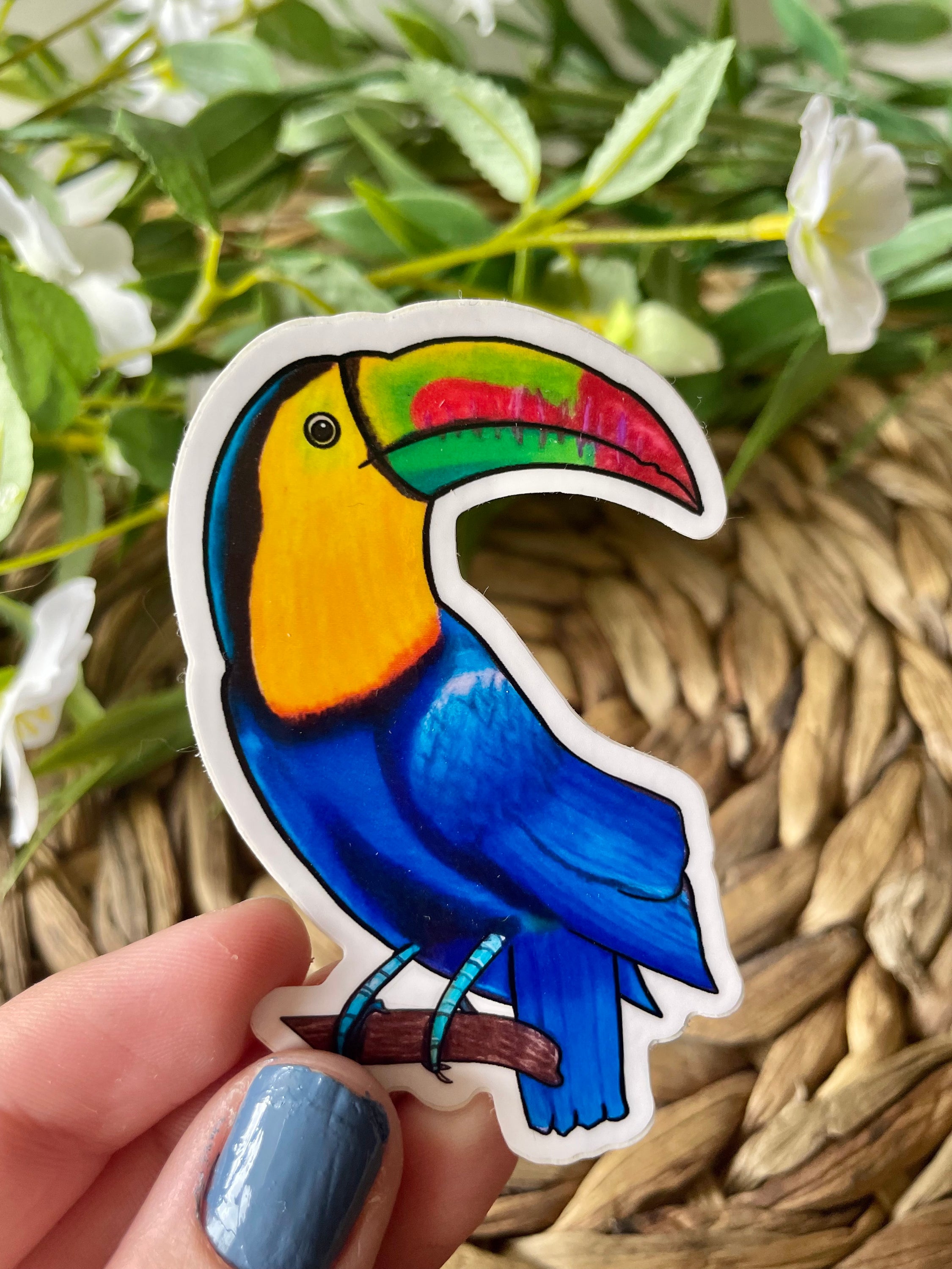 A colorful toucan sticker featuring a cute toucan design, perfect for personalizing items like laptops and water bottles.