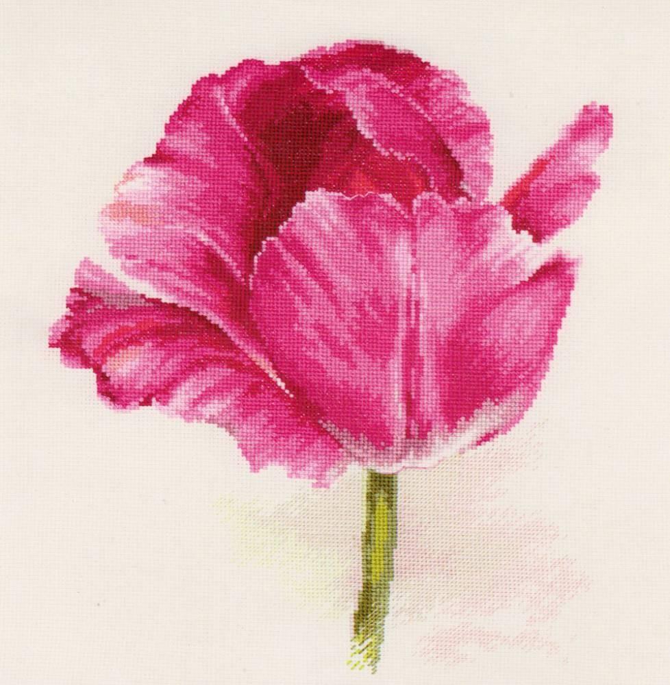 Crimson Glow Tulips cross-stitch kit featuring vibrant threads and white aida fabric.