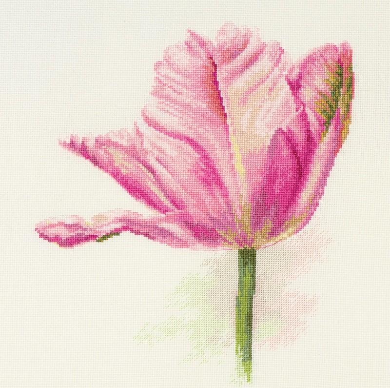 Light pink tulips cross-stitch kit with threads, needle, and white aida fabric.