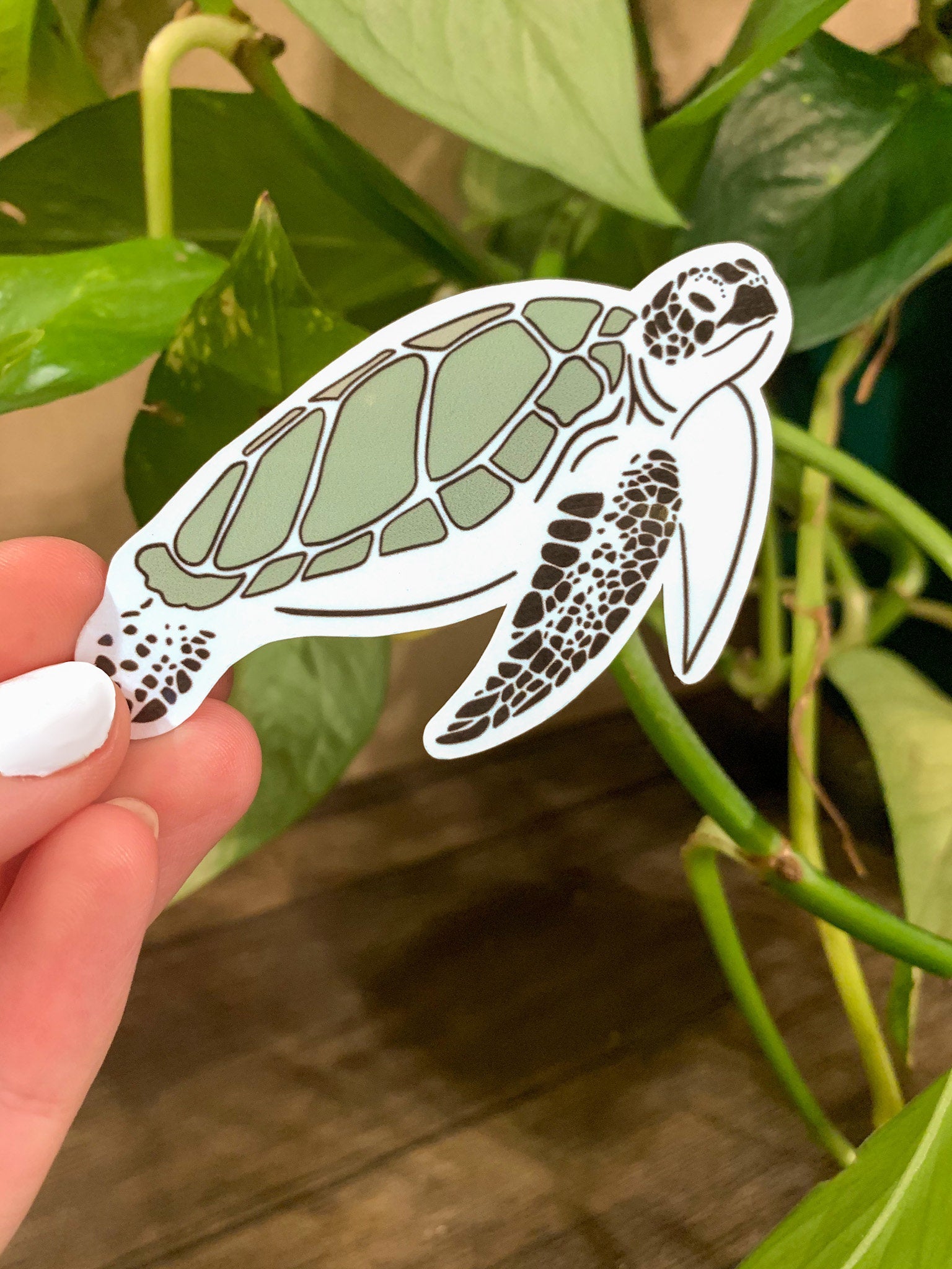 A cute turtle sticker designed for customization, featuring vibrant colors and a waterproof finish, perfect for laptops and water bottles.