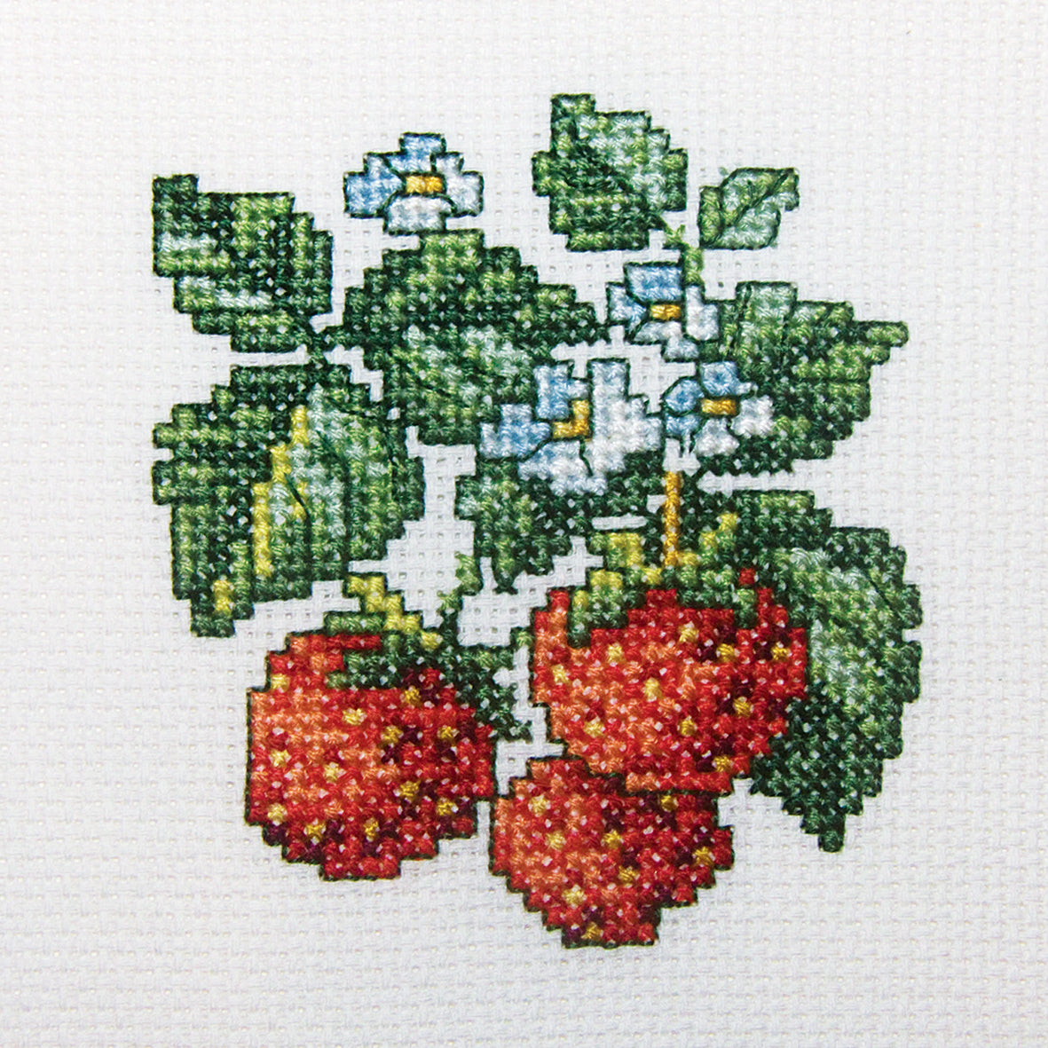 Wild Strawberries H251 Counted Cross Stitch Kit with Aida canvas, DMC threads, and needle, showcasing vibrant colors and detailed design.