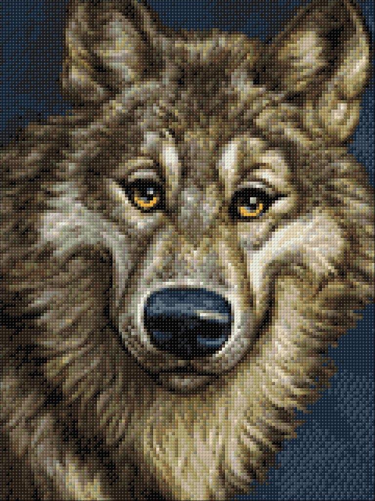 Wolf CS2574 Crafting Spark Diamond Painting Kit with tools and pre-sorted acrylic diamonds on a self-adhesive canvas.