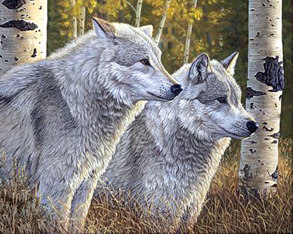 Wolves CS2570 Crafting Spark Diamond Painting Kit with colorful square acrylic diamonds and tools on a self-adhesive canvas.