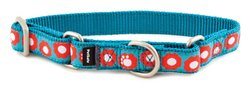 PetSafe Fido Finery Martingale Style Collar in teal color with woven ribbon design and brushed nickel hardware.