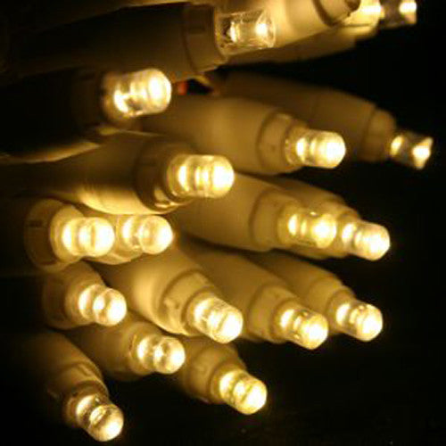 A set of 20 warm white LED bulb string lights on a wire, ideal for indoor and outdoor decoration.