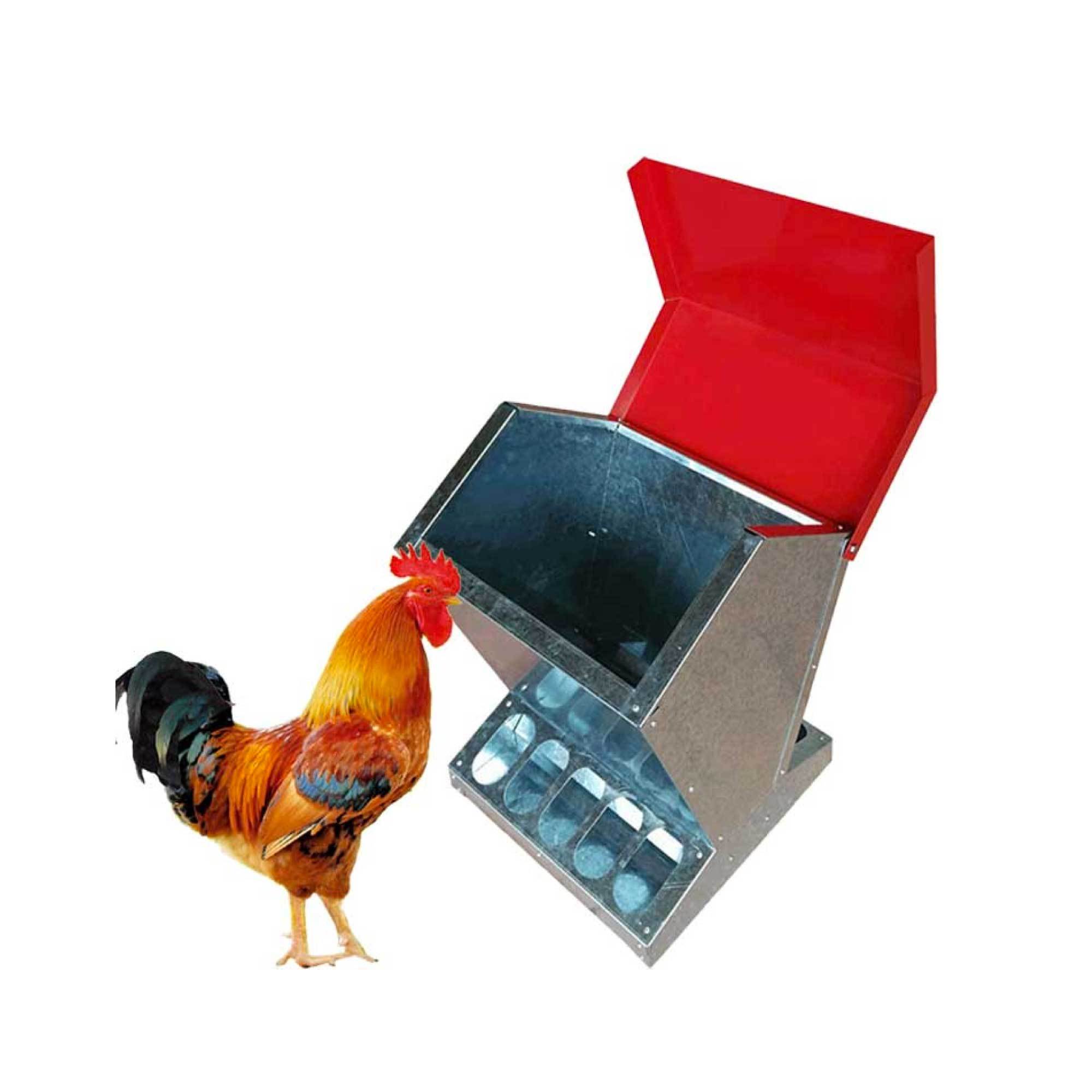 10kg Automatic Chook Chicken Feeder made of galvanised steel, featuring a protective lid and large feeding hole, designed for backyard chickens.