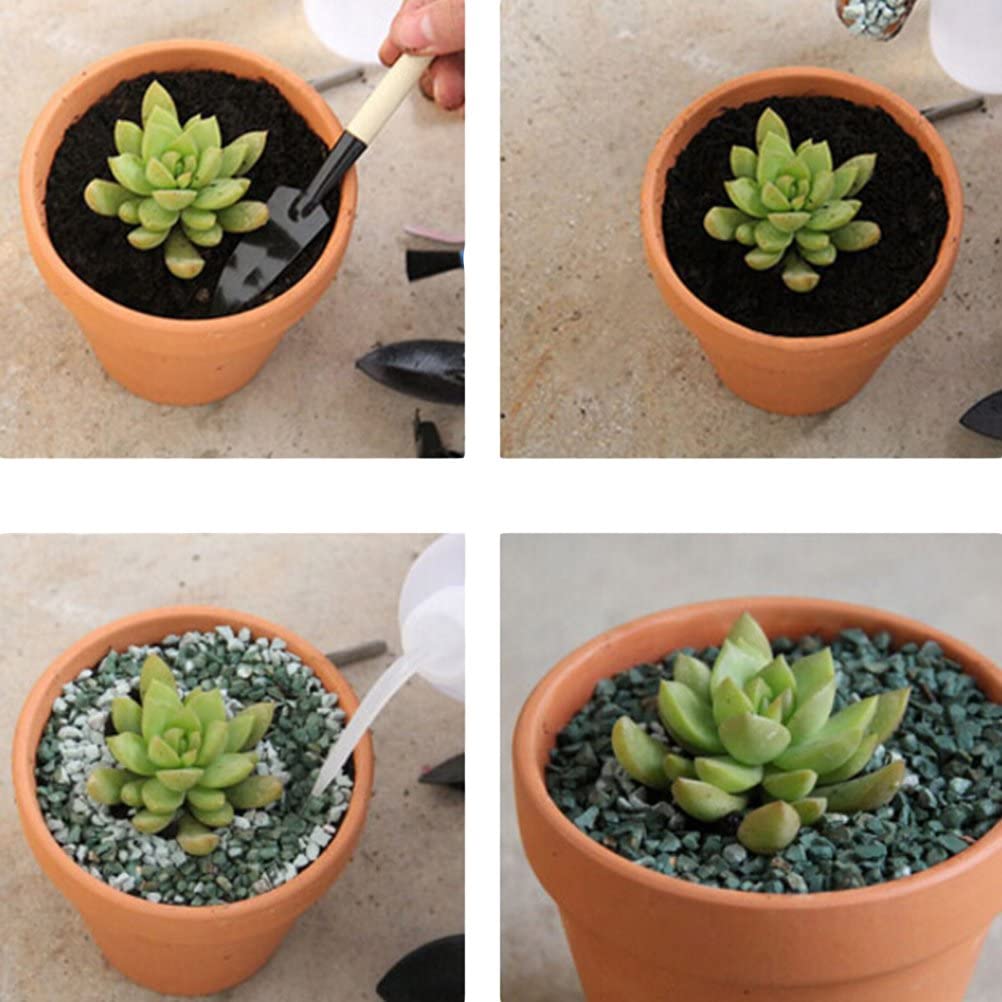 Set of 10 small 6cm clay flower pots with drainage holes, ideal for succulents and cacti, showcasing a smooth terracotta finish.