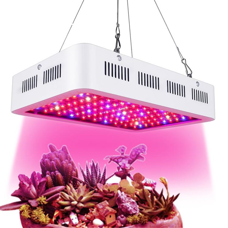 1200W LED Grow Light with double chips, designed for optimal indoor plant growth, featuring a square shape and full spectrum light output.