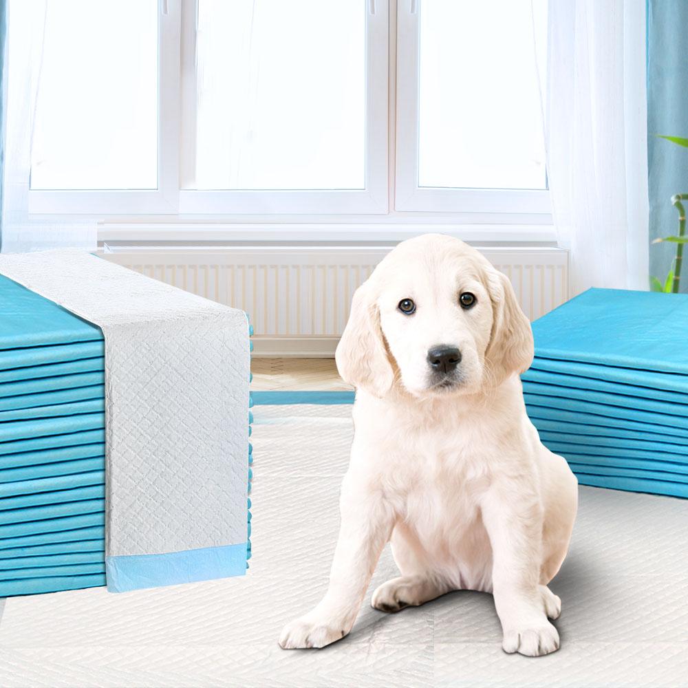 200pcs Puppy Dog Pet Training Pads in blue, measuring 60 x 60cm, designed for effective pet toilet training with five-layer protection.