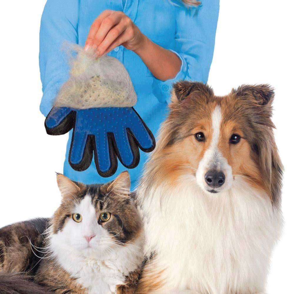 A blue and black 2in1 Pet Deshedding and Massage Glove designed for grooming dogs and cats, featuring silicone tips for effective hair removal.