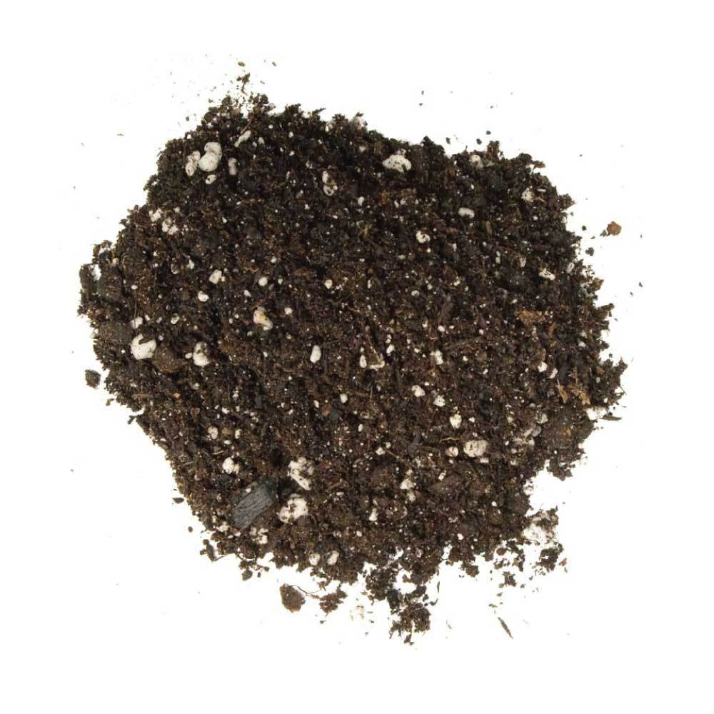 2L Premium Coco Perlite Mix in a resealable bag, showcasing the blend of coir husk and perlite for hydroponic gardening.