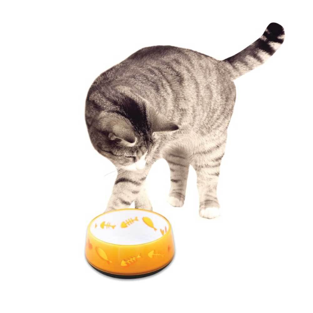 300ml orange cat bowl with fish and heart cut-outs, designed for feeding and watering pets.