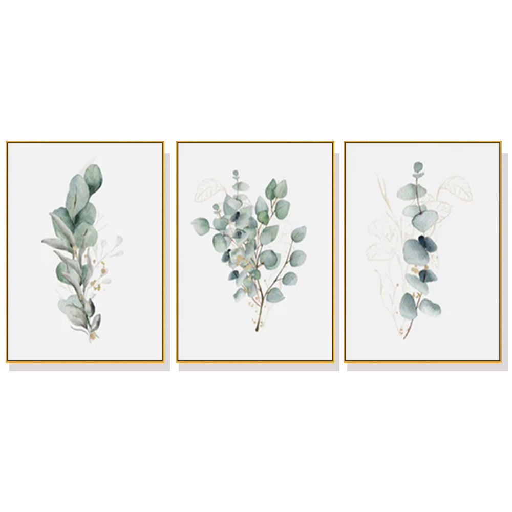 40cmx60cm Eucalyptus Plant Canvas Wall Art in a gold frame, showcasing a beautiful eucalyptus design, perfect for home decor.