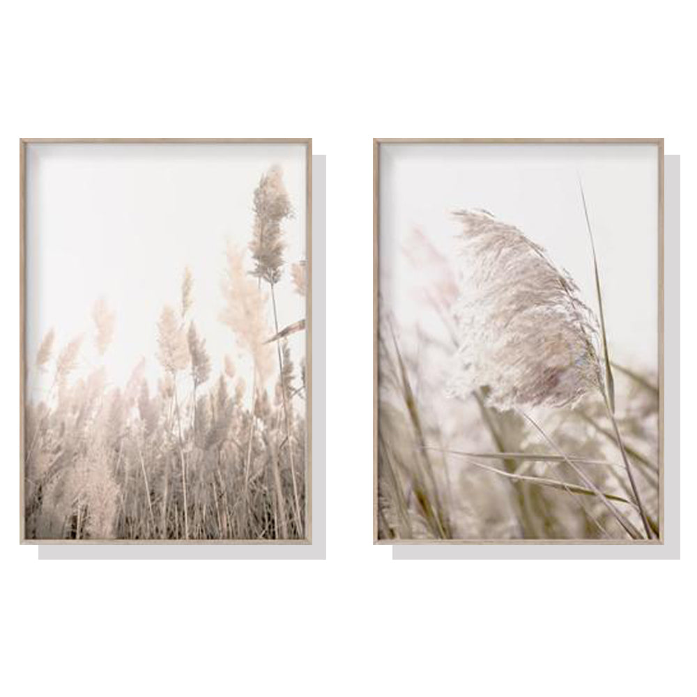 Two sets of 40cmx60cm Pampas Grass canvas wall art framed in wood, showcasing a floating effect and vibrant colors.