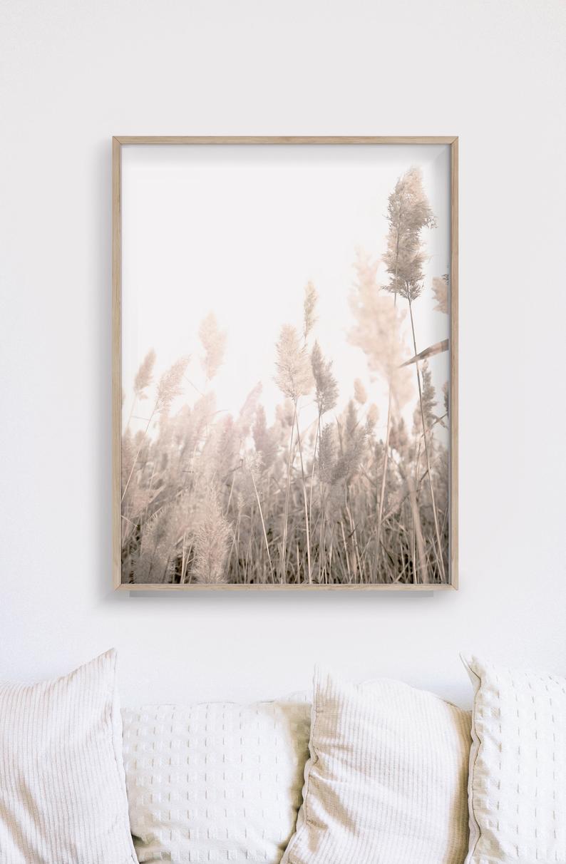 Two sets of 40cmx60cm Pampas Grass canvas wall art framed in wood, showcasing a floating effect and vibrant colors.