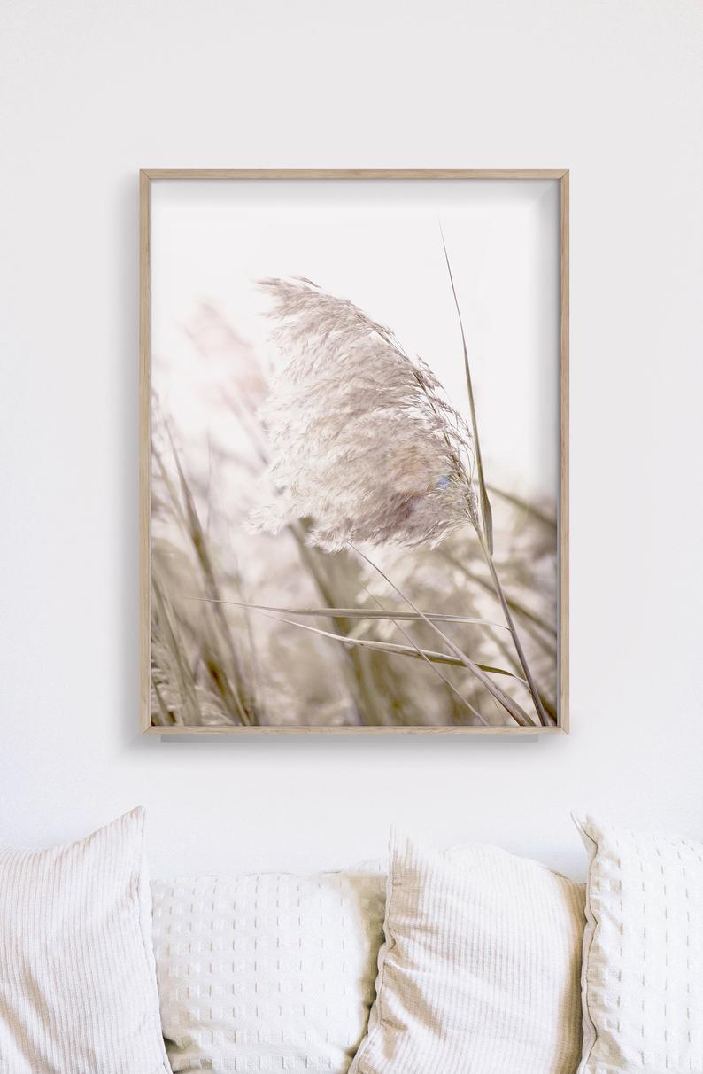 Two sets of 40cmx60cm Pampas Grass canvas wall art framed in wood, showcasing a floating effect and vibrant colors.