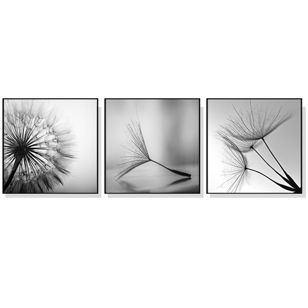 Three sets of 50cmx50cm botanical dandelion canvas wall art framed in black, showcasing vibrant colors and intricate details.