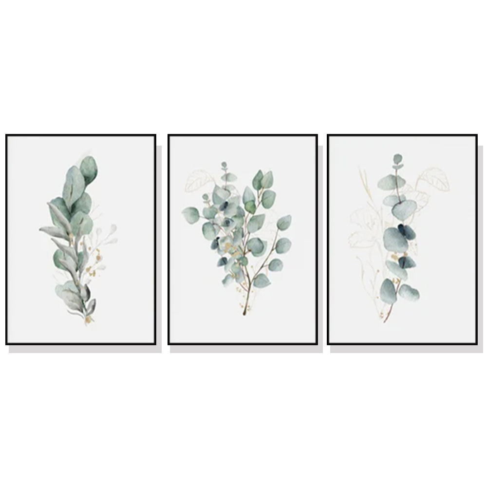 50cmx70cm Eucalyptus Plant Canvas Wall Art in a black frame, showcasing a beautiful eucalyptus design, perfect for home decor.