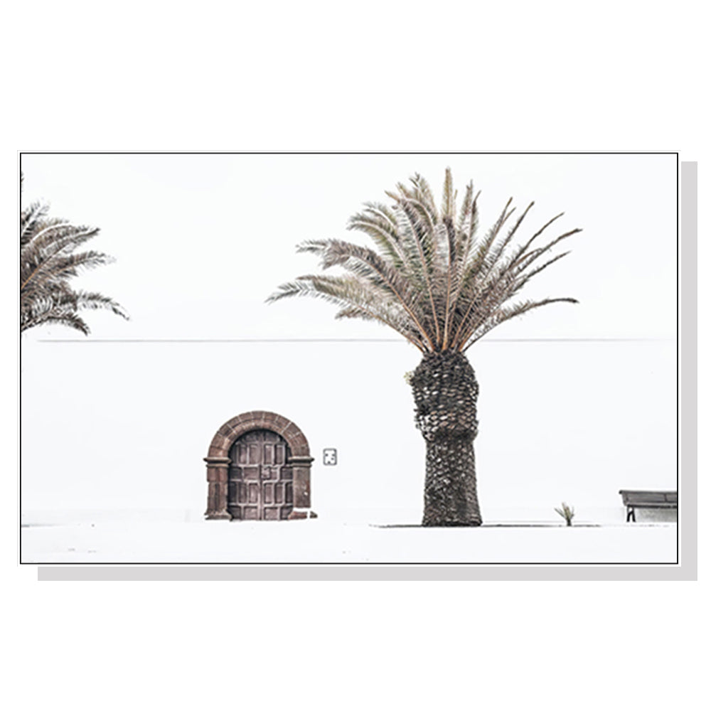 50cmx70cm European Palm Tree canvas wall art in a white frame, showcasing vibrant colors and a modern floating effect.