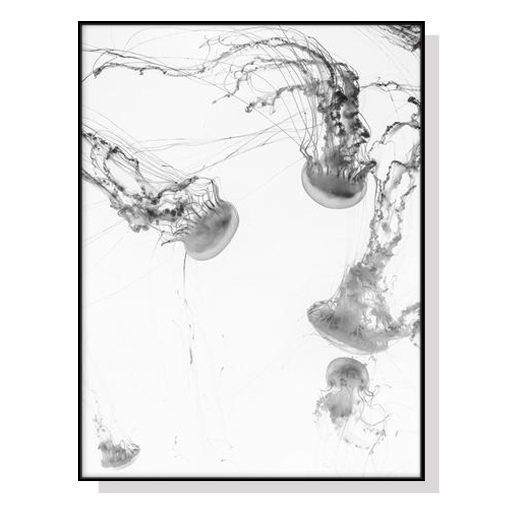 50cmx70cm Jellyfish Canvas Wall Art in a black frame, showcasing vibrant colors and a floating effect.