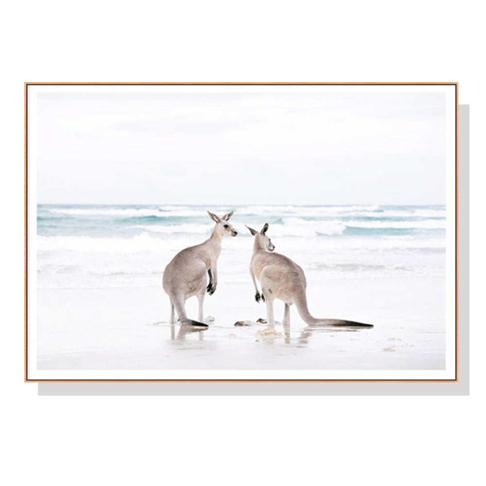 50cmx70cm Kangaroo Wood Frame Canvas Wall Art featuring vibrant colors and a floating frame design, perfect for home decor.