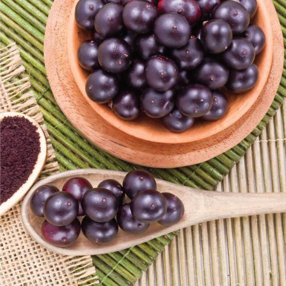 5kg bag of 100% organic Acai powder, showcasing its rich dark purple color and resealable packaging.