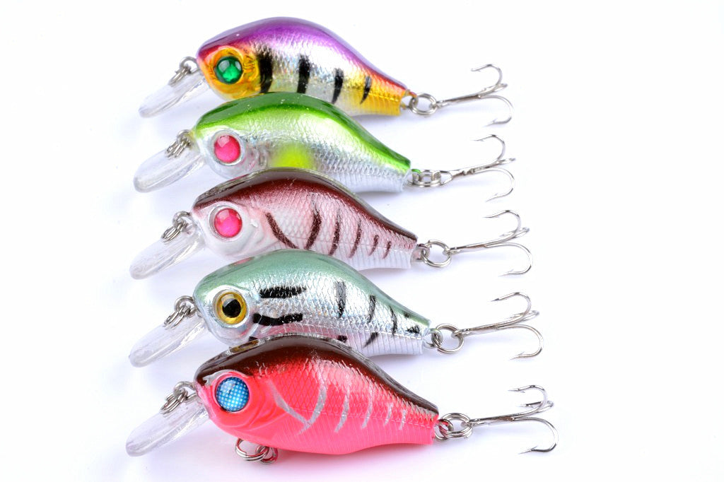 Five colorful 5.5cm Popper Crank Bait Fishing Lures displayed together, showcasing their realistic fish patterns and sharp hooks.