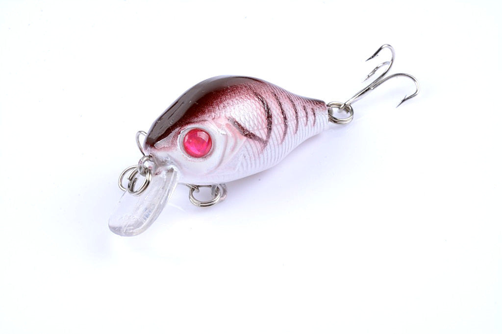 Five colorful 5.5cm Popper Crank Bait Fishing Lures displayed together, showcasing their realistic fish patterns and sharp hooks.