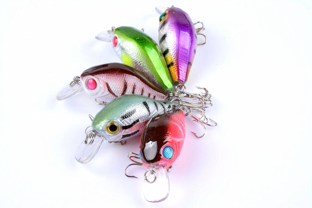 Five colorful 5.5cm Popper Crank Bait Fishing Lures displayed together, showcasing their realistic fish patterns and sharp hooks.