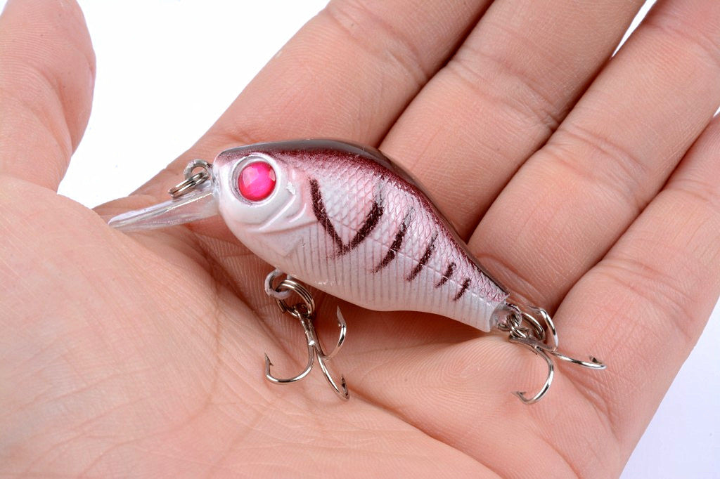 Five colorful 5.5cm Popper Crank Bait Fishing Lures displayed together, showcasing their realistic fish patterns and sharp hooks.