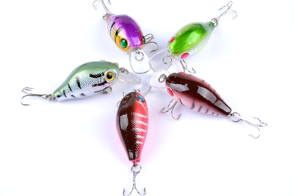 Five colorful 5.5cm Popper Crank Bait Fishing Lures displayed together, showcasing their realistic fish patterns and sharp hooks.